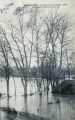 Inondations de fevrier 1904 un jardin transforme en lac.jpg